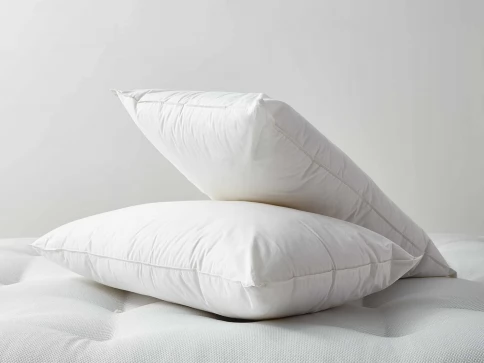 goose feather pillows